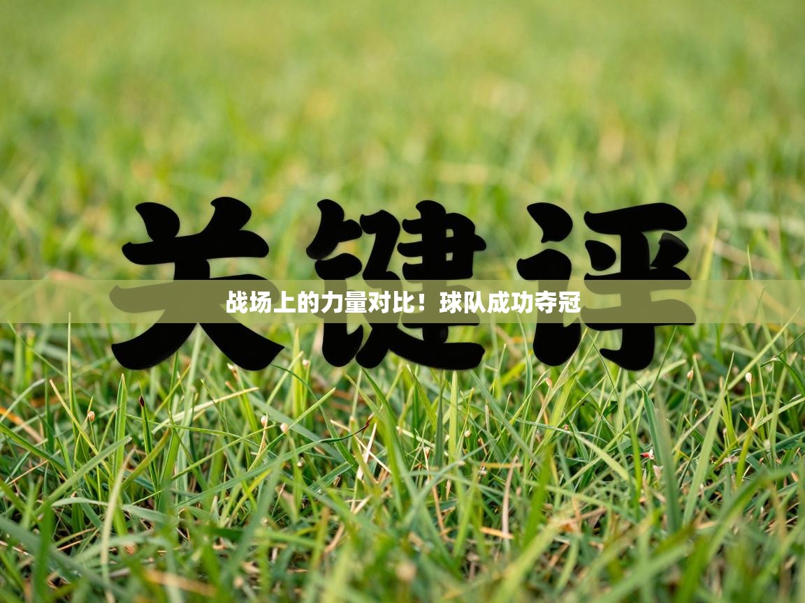 战场上的力量对比！球队成功夺冠  第1张